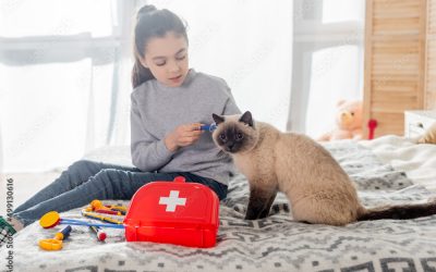 ¿Tiene su mascota un botiquín en casa?