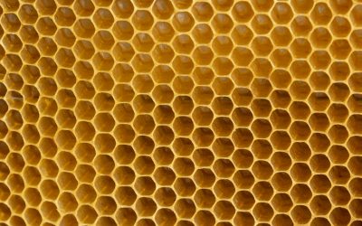 EFECTOS, PRECAUCIONES Y CONTRAINDICACIONES DEL PRÓPOLIS